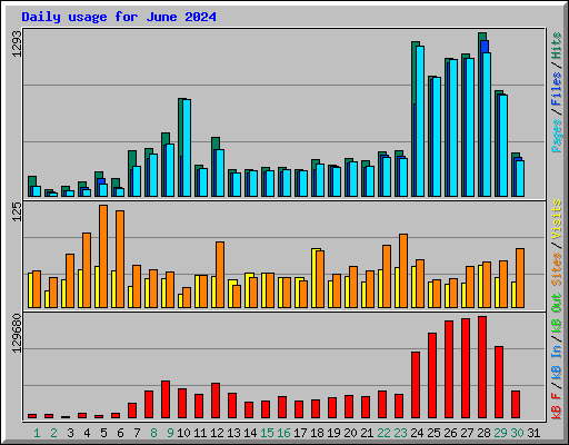 Daily usage for June 2024