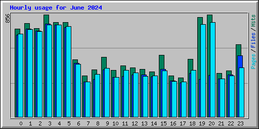 Hourly usage for June 2024